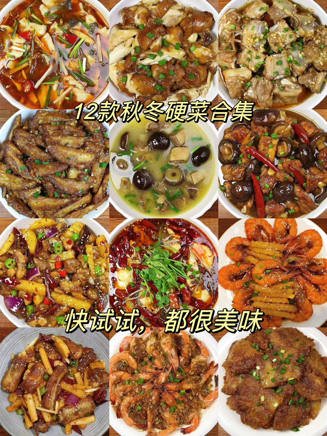 今天给大家分享12款适合秋冬吃的硬菜合集！亲测每一款都超级好吃！喜欢的朋友们记得