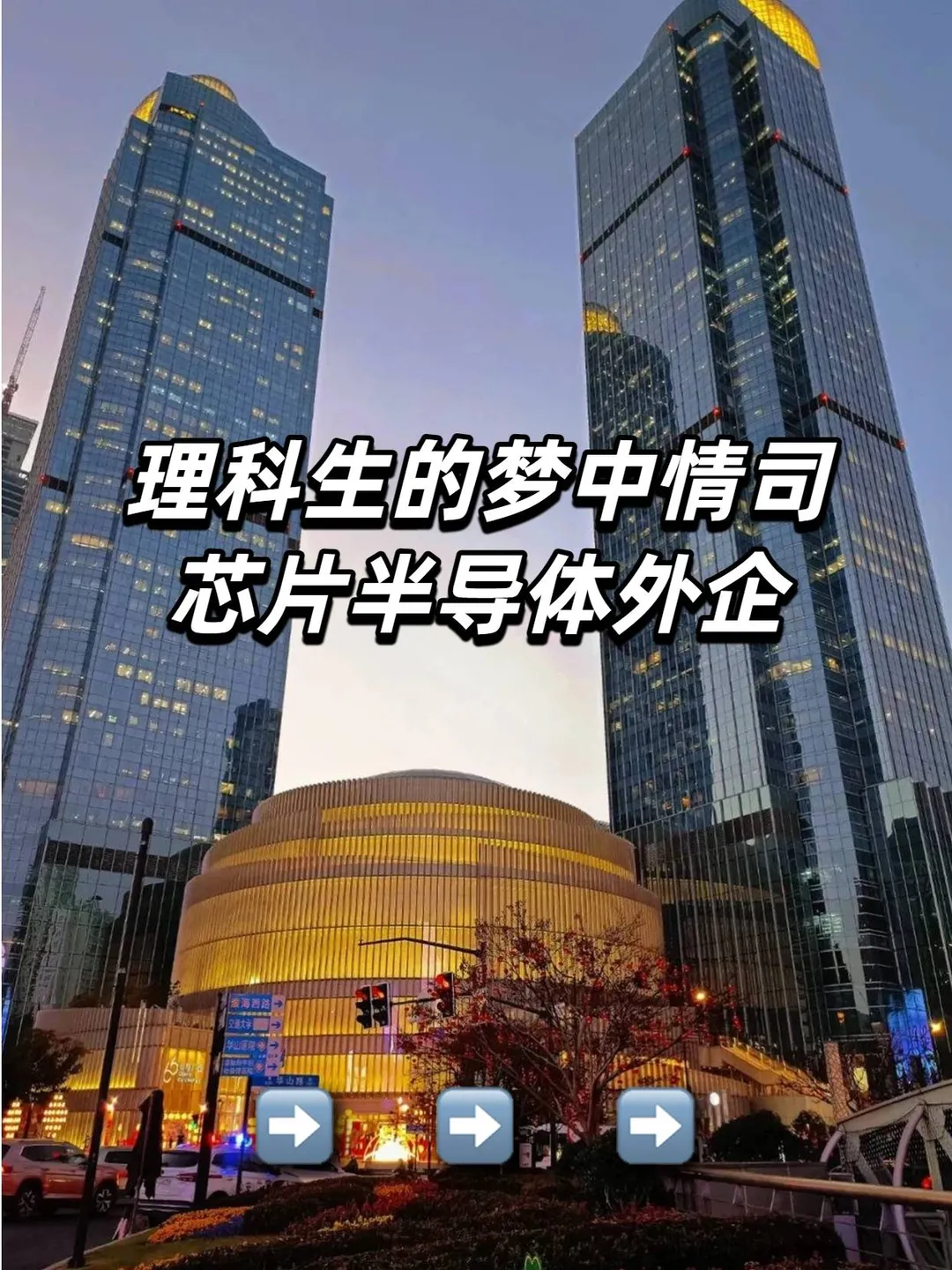 理科生的梦中情司：芯片半导体外企