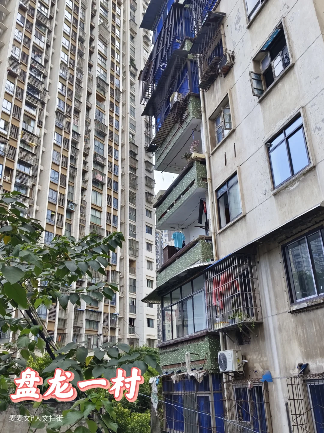 【九龙坡】盘龙一村:城市进化论里的活化石