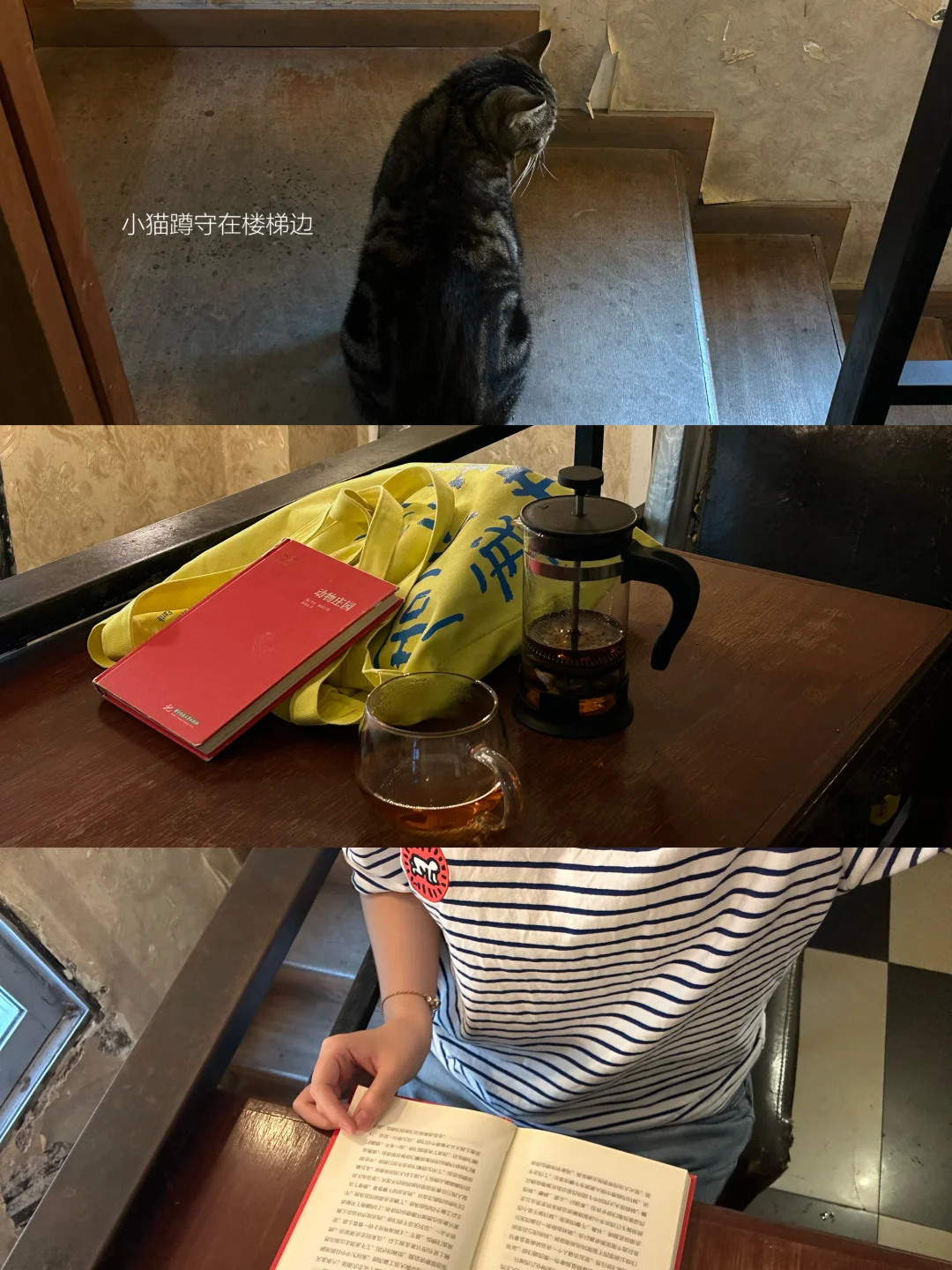infj日记*在广州的雨季：一个人生活着.