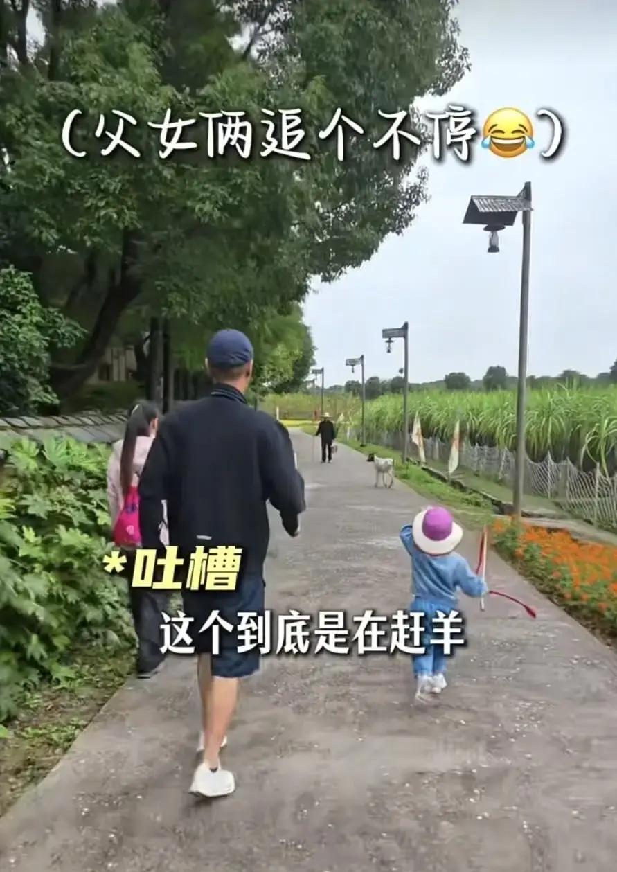 当年全网都在劝任重赶紧跑，谁能想到七年过去，人家二胎都快生了。
前几天看到他们在乌村度假，孙骁骁挺着个大孕肚，三岁的女儿嘻姐踩着小凳子学炒西红柿鸡蛋，小嘴里还念叨着给妈妈吃。
任重就在旁边端茶倒水、拿着手机咔咔拍，身上没有一点明星架子，眼神里全是老婆孩子。
想当年他们刚被拍到那会儿，外界的冷嘲