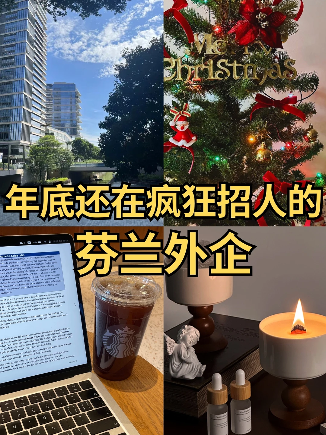 年底还在疯狂招人的：芬兰外企🌲