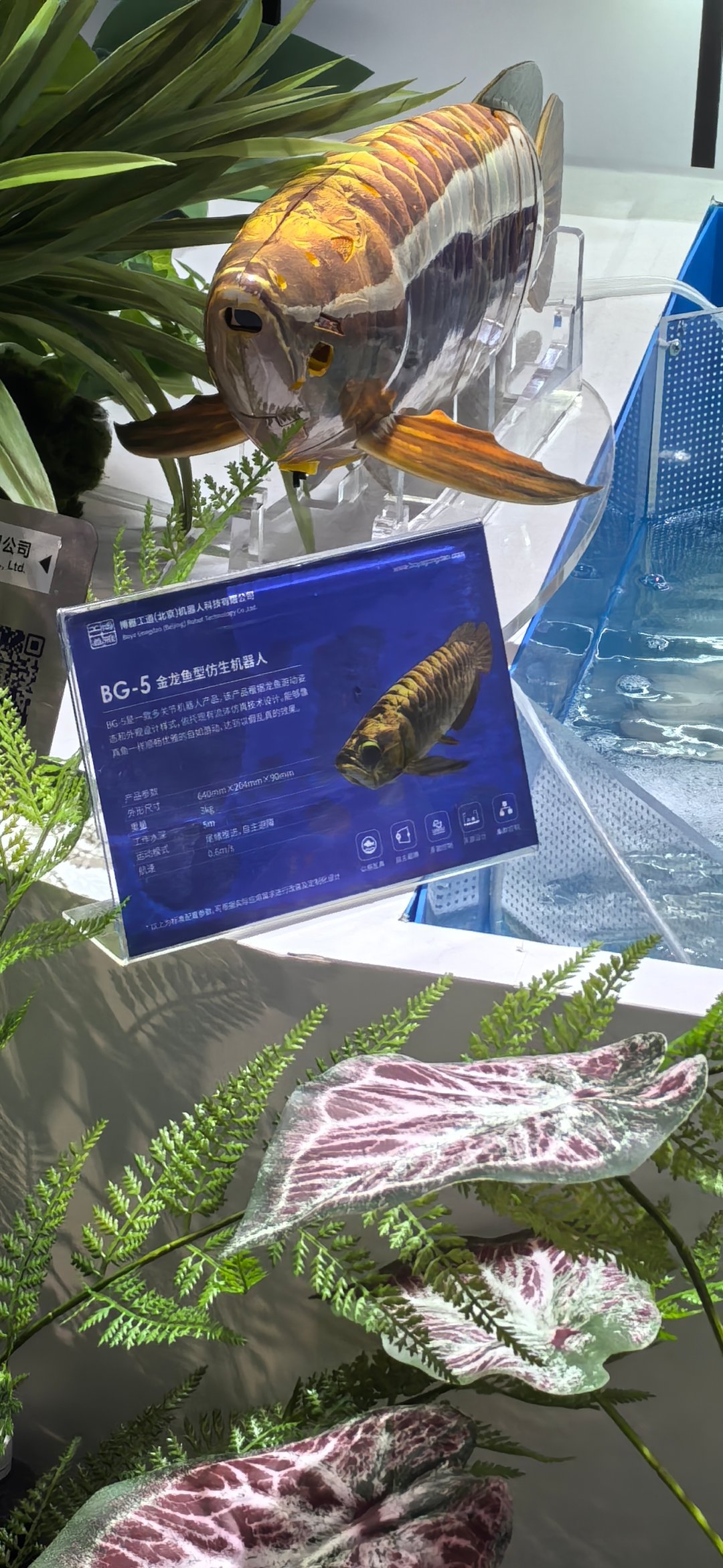 世界机器人大会，逛了一圈最喜欢的机器人是一条鱼。  ​