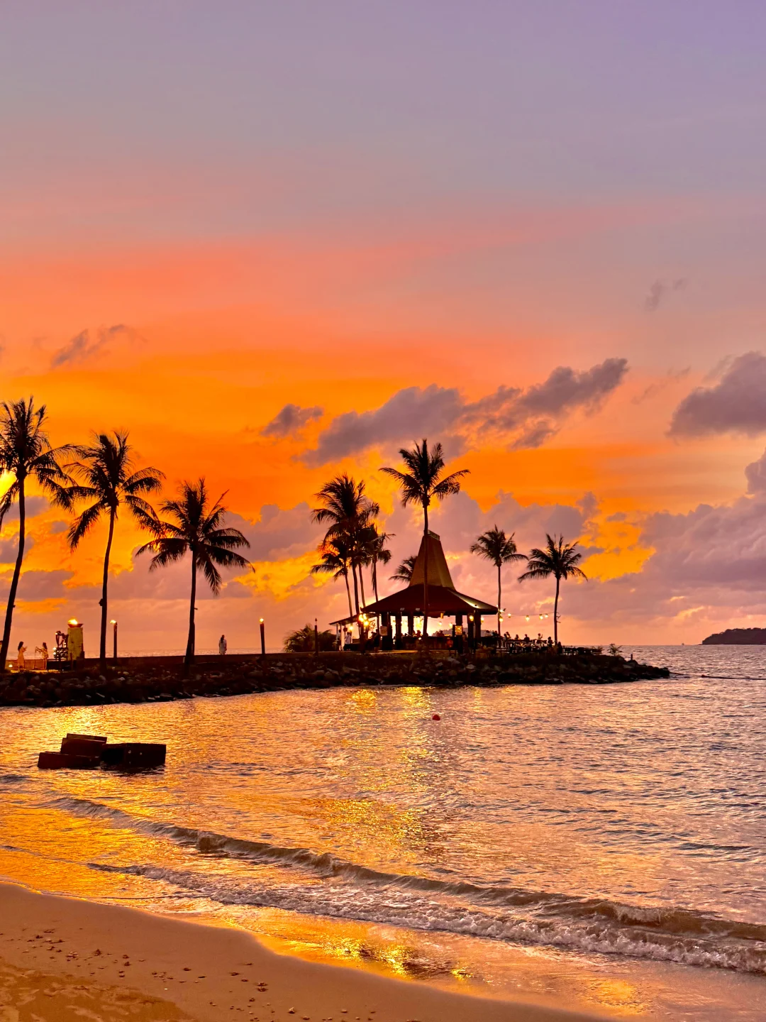 第一次来马来西亚，请直接复制这条路线‼️