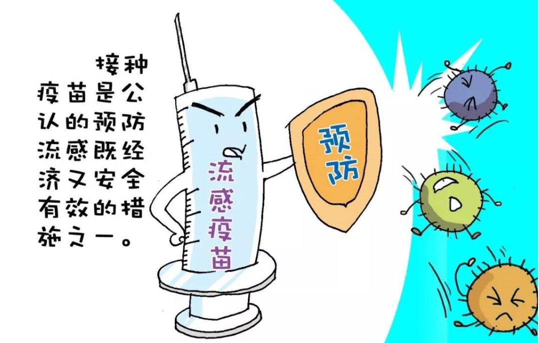 流感疫苗市场变天了流感疫苗的最佳接种期 为什么每年都建议儿童和老人打流感疫苗？第一，这是给免疫系统“开小灶”。 小孩子的免疫系统像“新兵蛋子”，没见过世面，遇到流感病毒容易慌神，甚至引起肺炎、脑炎等重症。而老人的免疫系统像“退休老兵”，反应迟钝，病毒都攻进城门了，警报才响。疫苗就是提前给她们看“通缉令”，让身体提前练出“特种部队”，一旦真病毒来了，立刻消灭。第二，这不仅是保护自己，更是“建立防火墙”。 老人和小孩是流感病毒的“超级传播者”。他们生病了，全家都得围着他转，病毒还特别容易传给家里的孕妇、慢性病患者。给他们打疫苗，等于把家里的“病毒窝点”提前端掉，保护了全家老小。第三，流感病毒太狡猾，年年变异。 今年的病毒穿“红马甲”，明年就换“黑外套”。去年的抗体认不出今年的新病毒。所以世界卫生组织每年2月都会预测今年流行哪种毒株，疫苗配方也跟着更新。去年打的只能保去年，今年必须打新版的。