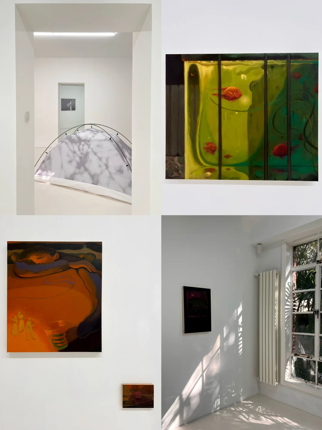 上海🆓新展｜冬日街头邂逅的3个小展🚶‍♀️