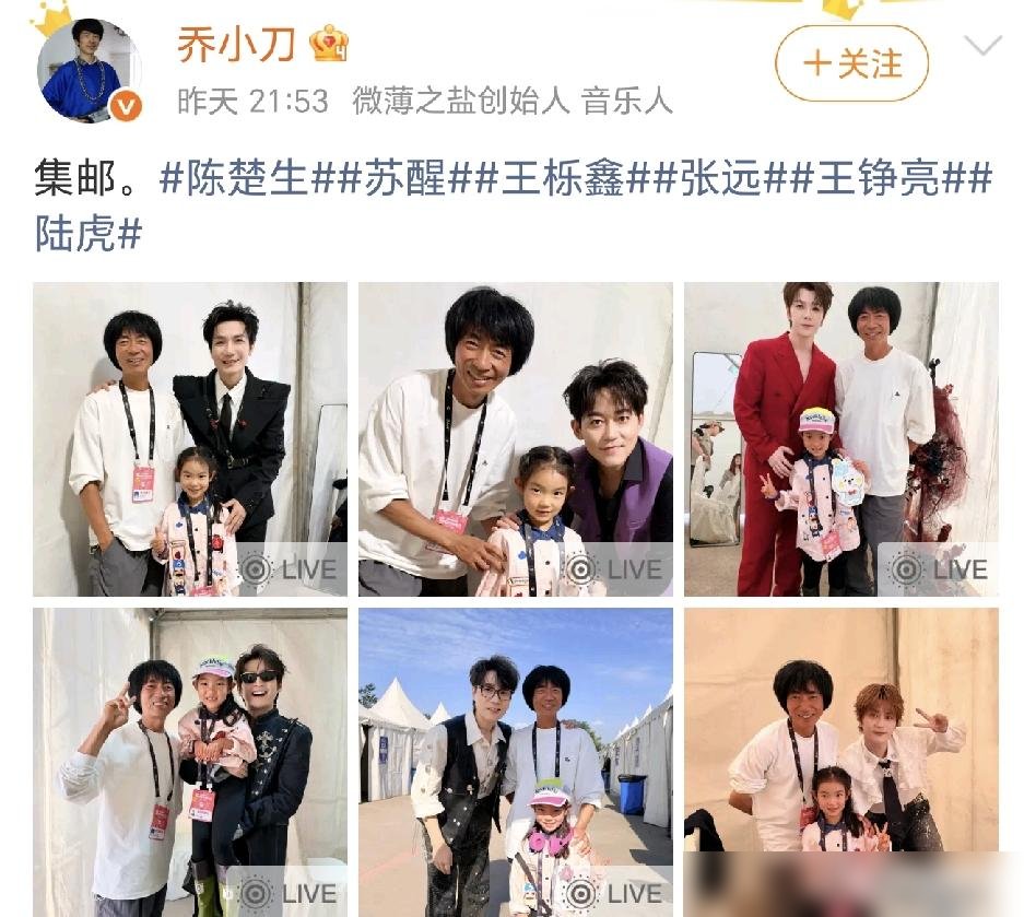泸州音乐节，张远蹲下来跟一个小女孩击掌，乔小刀站旁边眼眶红了。
这画面传疯了。再就业男团六个人，陈楚生、苏醒、王栎鑫、张远、王铮亮、陆虎，一个不落，全到了。每人唱满60分钟，没人划水。
苏醒台上直接放话：团演如期，兄弟没散。台下一堆人举着手机录，手都在抖。
散场时乔小刀女儿挨个合影，陆虎把墨镜