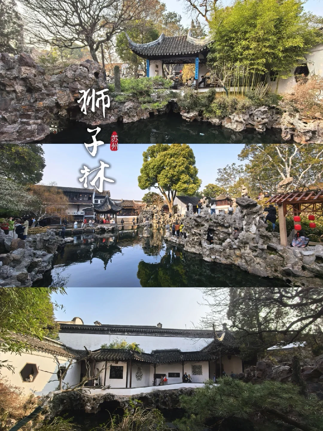 苏州旅游❤狮子林亲子游玩攻略