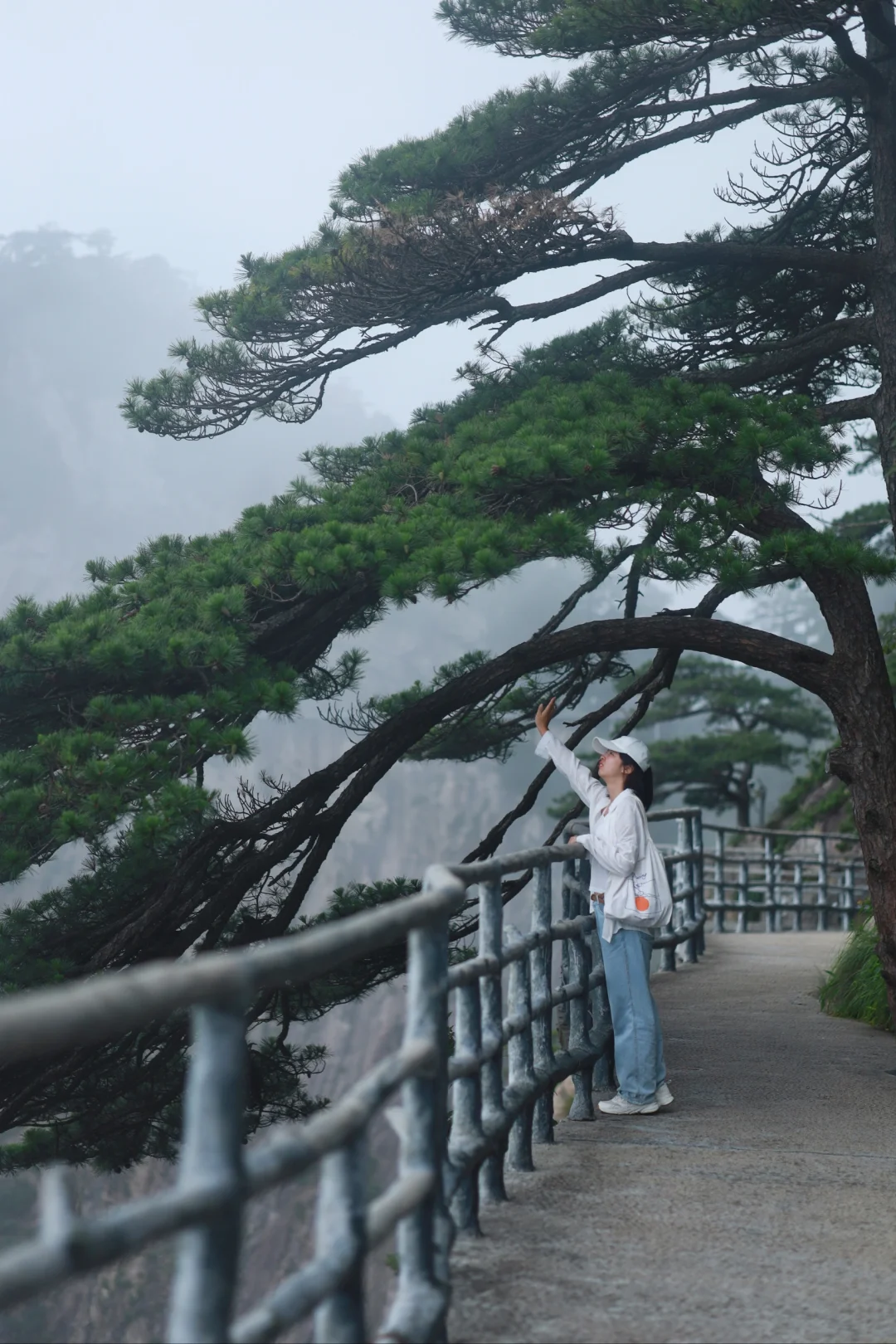 武汉周边2.5H避暑仙境，远山云海美如画❗️