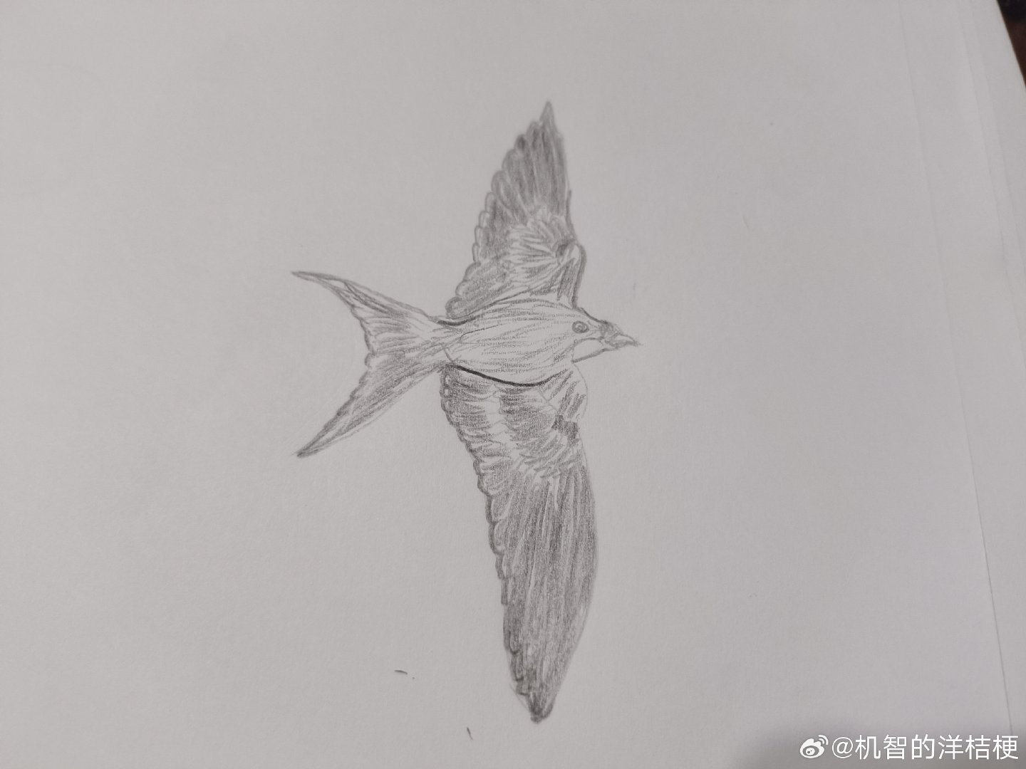 大鹏展翅[哈哈][哈哈][哈哈] ​