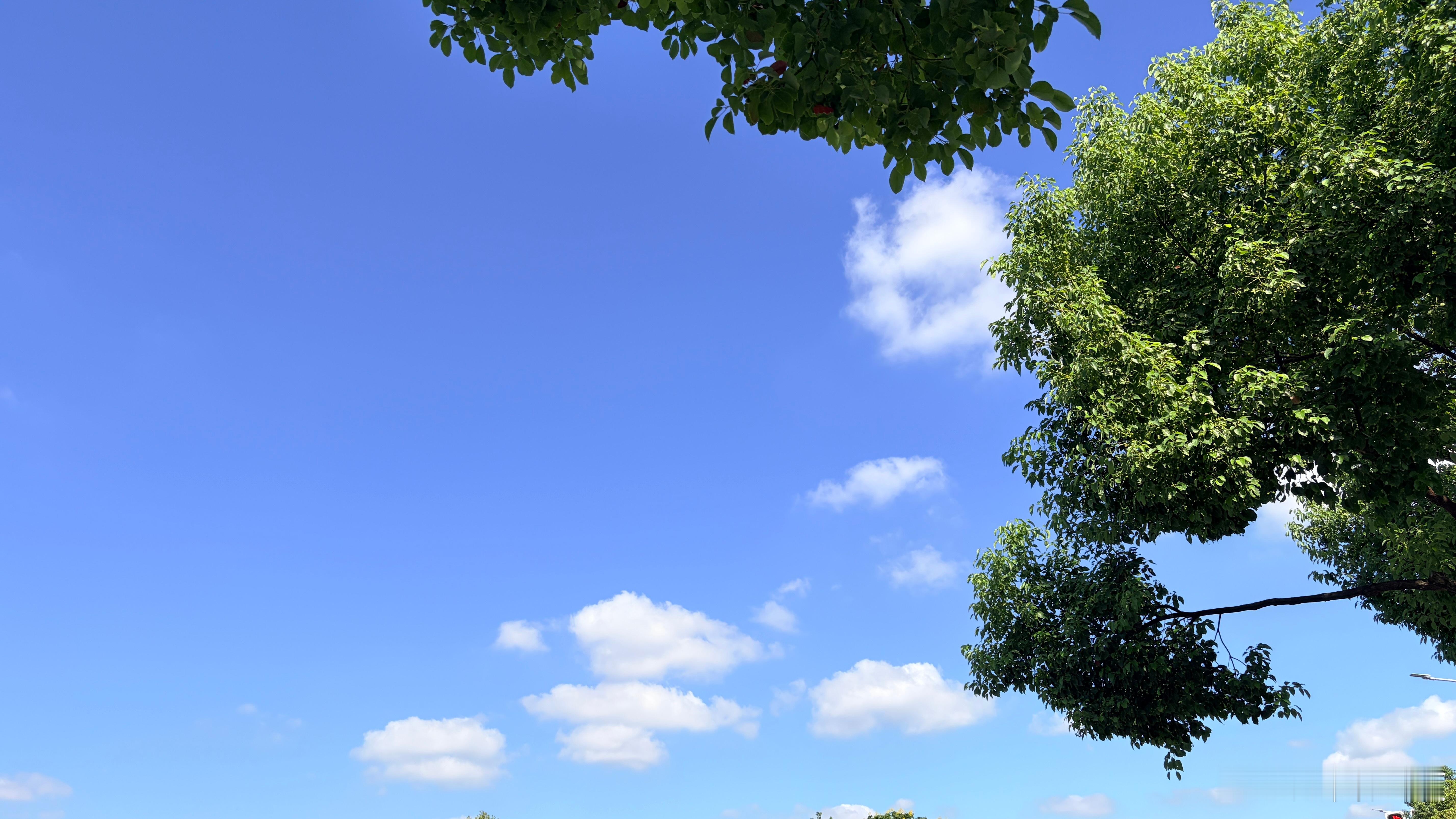 #坚持运动打卡##跑步[超话]# 
早上起来看到阳光☀️明媚。
天气不错蓝天白云的。
于是顾不上吃早饭，空腹有氧10km。
跑起来感觉风划过耳边。
听着五月天的歌，去爱，去放肆，去浪费。
#运动就是坚持##减肥# ，
#养成7个习惯更容易瘦#
那应该有规律的还好好运动，
运动完真的很舒服很治愈。
 ​