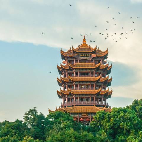 木叶在武汉