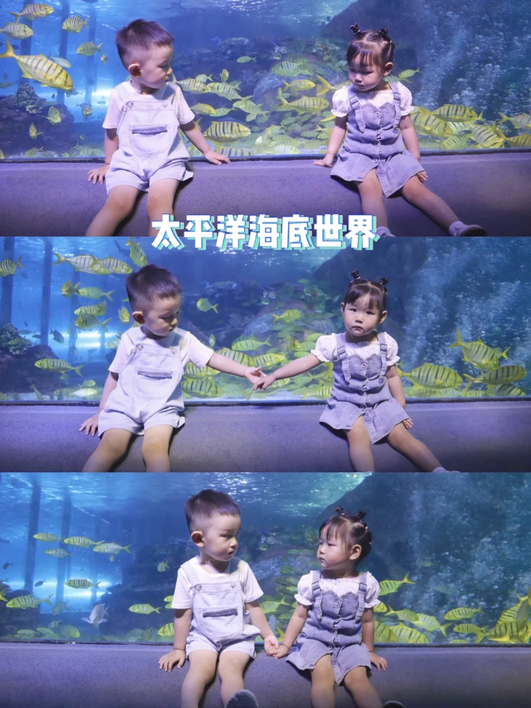 北京遛娃|59元薅夜场羊毛（附动物表演时间）