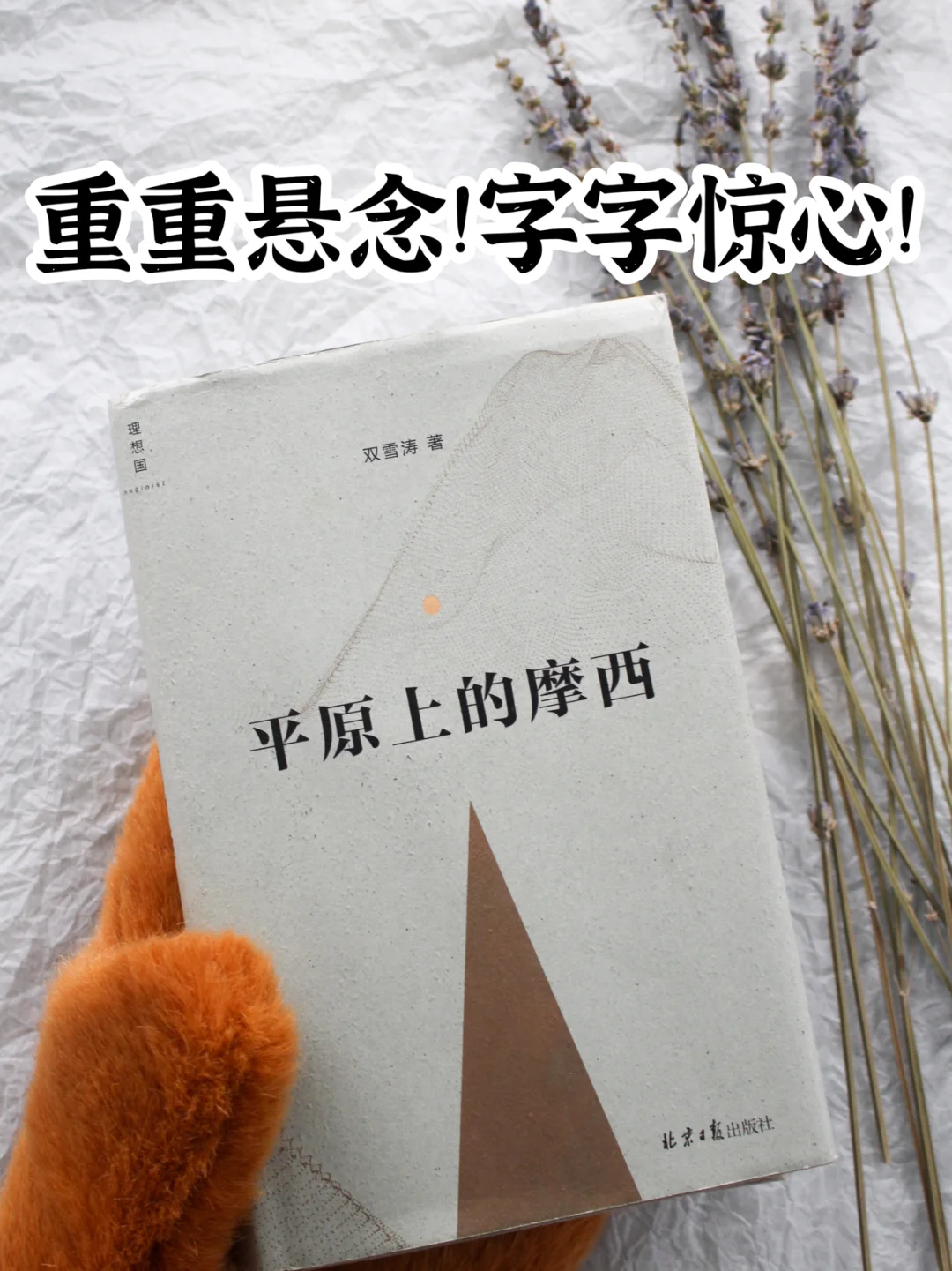 豆瓣9.1｜一本堪称完美的杰作！