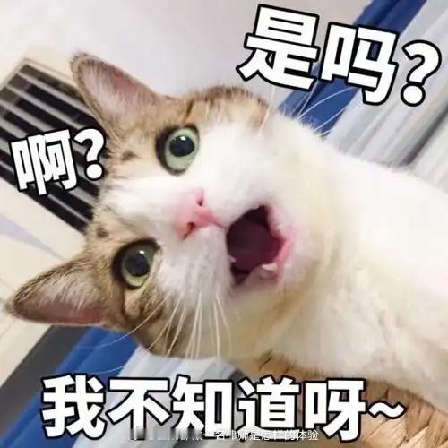 客户打电话给我，问是否可以代替其母亲在授权委托书上签字，我说不行、必须当事人本人签字。这种问题让我怎么回答，我只能回答不行。严格意义上来说，对于非面签的案件，律师对于授权委托书的签字真实性均应当进行核查并负责；只不过实践中很难每个案件都去核查，总不能签字的时候让当事人拍照或者录视频吧。