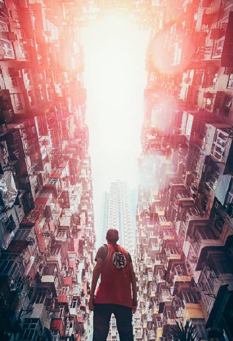 扬扬用摄影