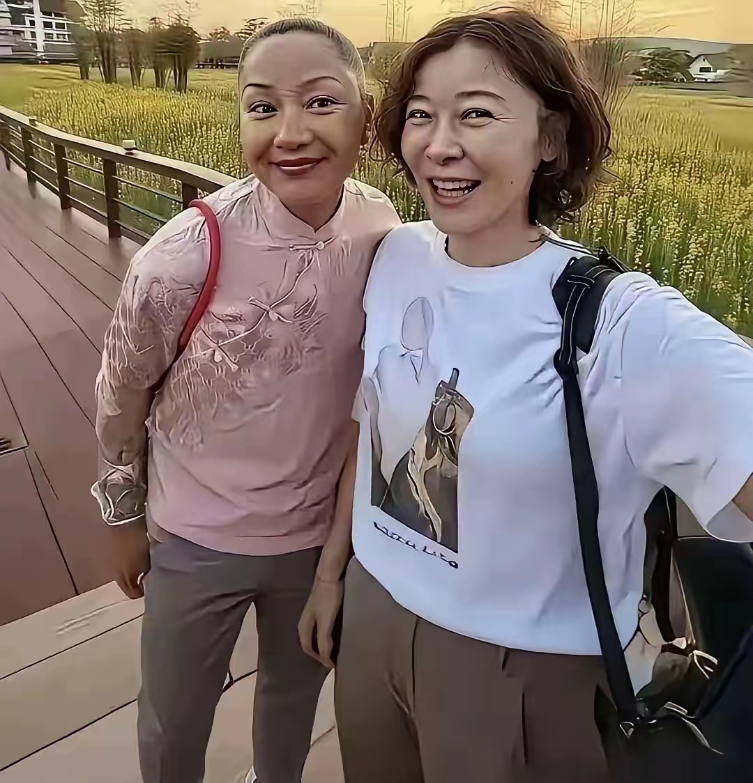 柯蓝和瞿颖这组素颜同框照一出，不少网友感慨，两人算是彻底放飞自我了。
有人说这照片真不该放出来，素面朝天，看着接地气，但少了往日明星的精致感。很多人喜欢她们，原本是觉得，到了这个年纪，她们比普通同龄人更有气质。可如果素颜状态和普通人差别不大，大家还会继续关注她们吗？
 
瞿颖皮肤黝黑发亮，搭配一件粉