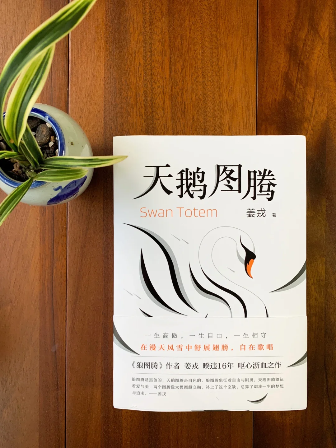 白岩松、俞敏洪推荐！这本书太干净太纯洁太纯