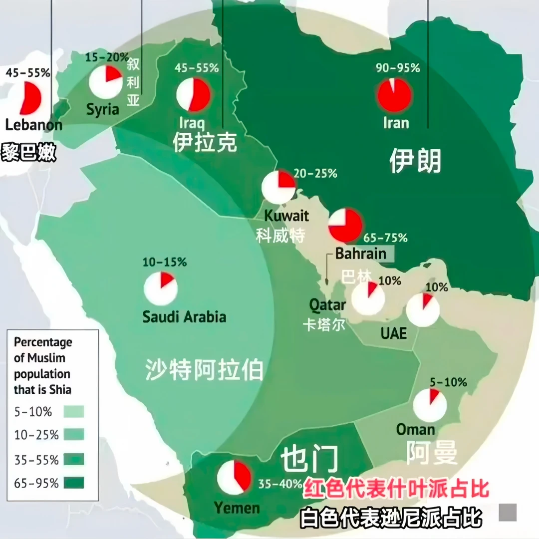 这应该就是以色列最害怕的一片区域了吧？