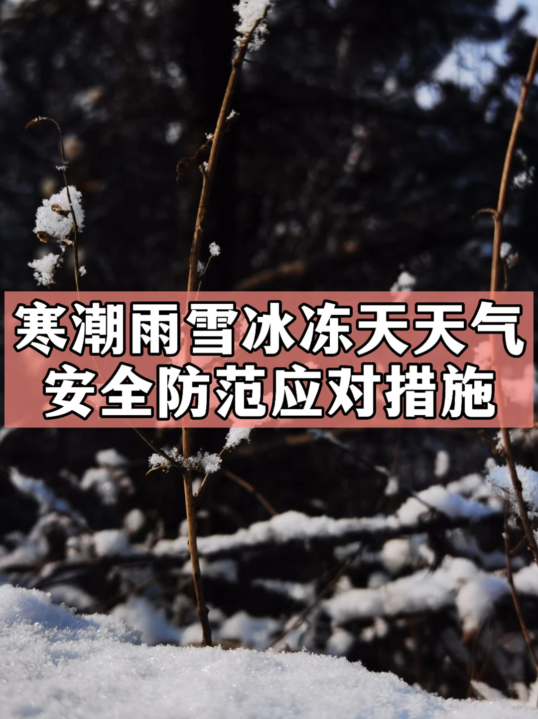 体制内：寒潮雨雪冰冻天气安全防范应对措施