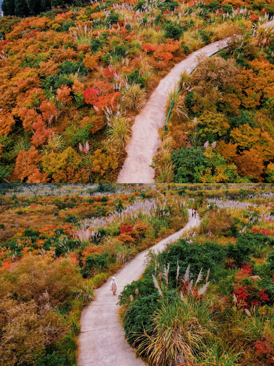 好震撼，就在成都，舍不得公开的徒步秘境