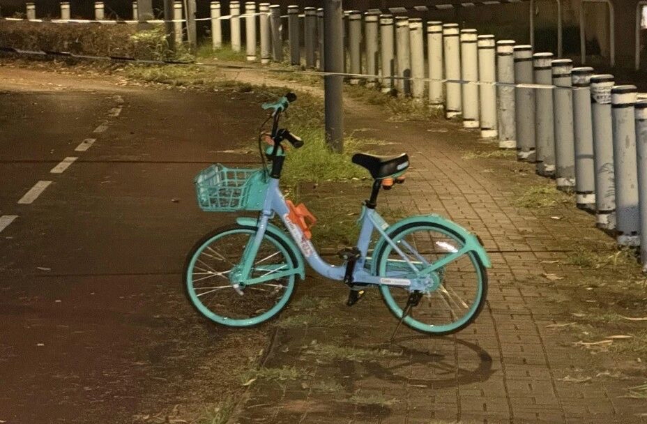 看到香港这起事件的时候后背瞬间凉了半截。
9月20日凌晨元朗壆围南路那片本来就偏僻，靠近南生围污水泵房连路灯都没几盏，女子深夜11点40分下港铁扫了辆共享单车往家赶，5分钟后就被监控拍到三只流浪狗追着她的车跑。
前后30米范围内的监控里没别的可疑人和车，路人发现她的时候三四只野狗还在周边晃悠，她手机