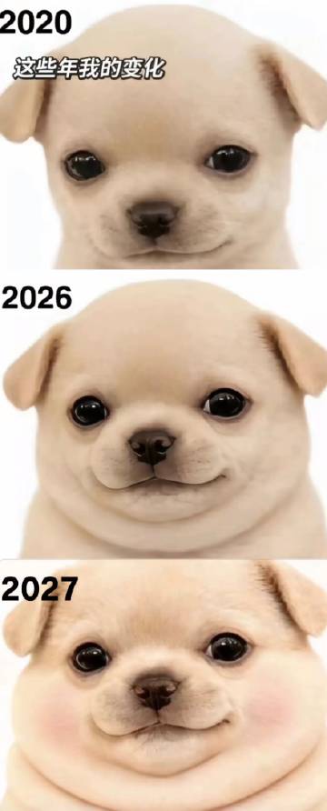 我这些年的变化就这样