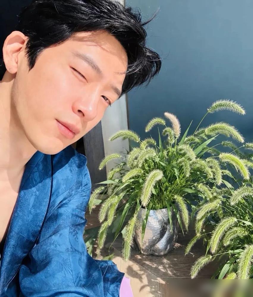 井柏然随手发了张路边的野花，评论区直接炸了。一堆人追着问，是不是在暗示《早春晴朗》要拍续集。结果你猜怎么着，优酷还真官宣了《盛夏晴朗》，原班编剧回归，主演一个没定。官方更损，拿剧中角色账号在那互动，搞得跟真事儿似的。井柏然这边呢，人压根没接茬。前阵子跟刘雯看李荣浩演唱会，台上直接喊他“Luke”，全