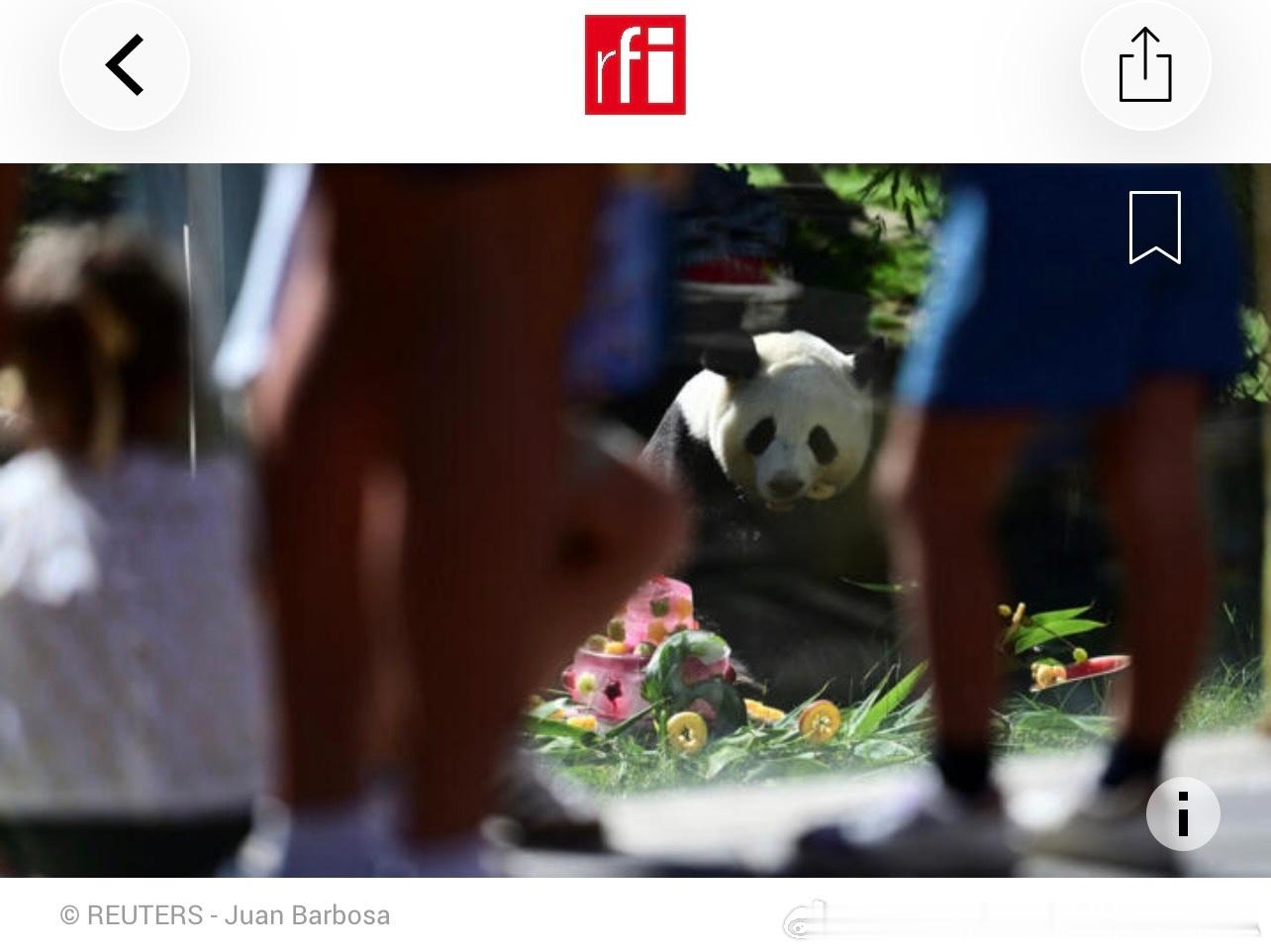两只大熊猫启程前往亚特兰大动物园 中国与美恢复"熊猫外交"

法新社北京消息，中国于周日（9月27日）向美国送去了两只大熊猫。

发表时间：27/09/2026
更改时间：27/09/2026
作者：夏榕

法新社指出，大熊猫的移交此前已经商定，但其出发消息是在周四宣布的。

这些黑白相间的哺乳动物在世界各地极受欢 ​