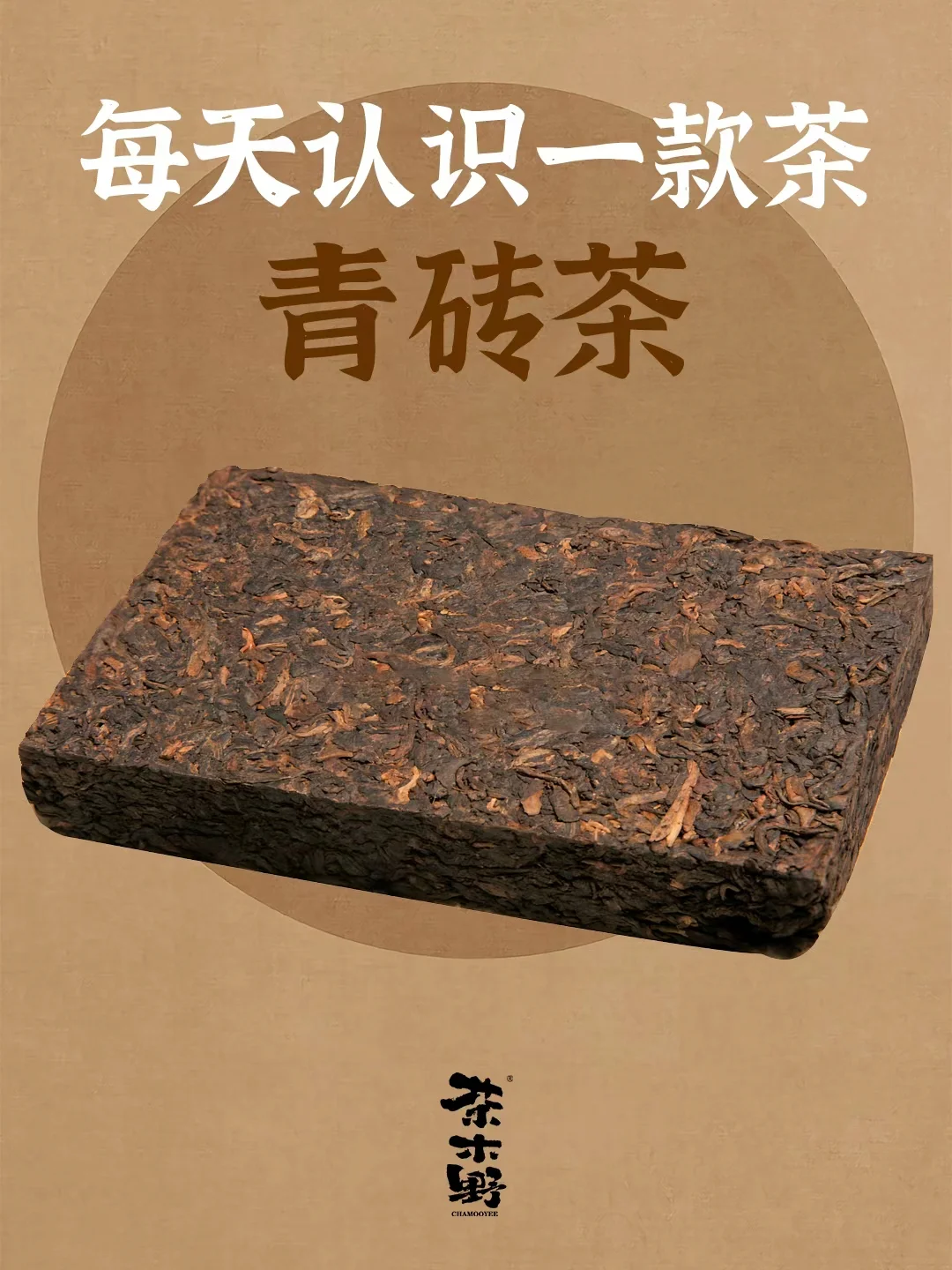 知识分享丨一分钟了解青砖茶