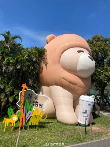 广州动物园的狮子阿杭回星球了😢