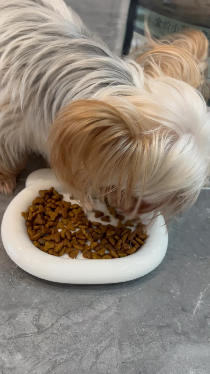 沉浸式之吃玉米花🍿酥酥脆脆～