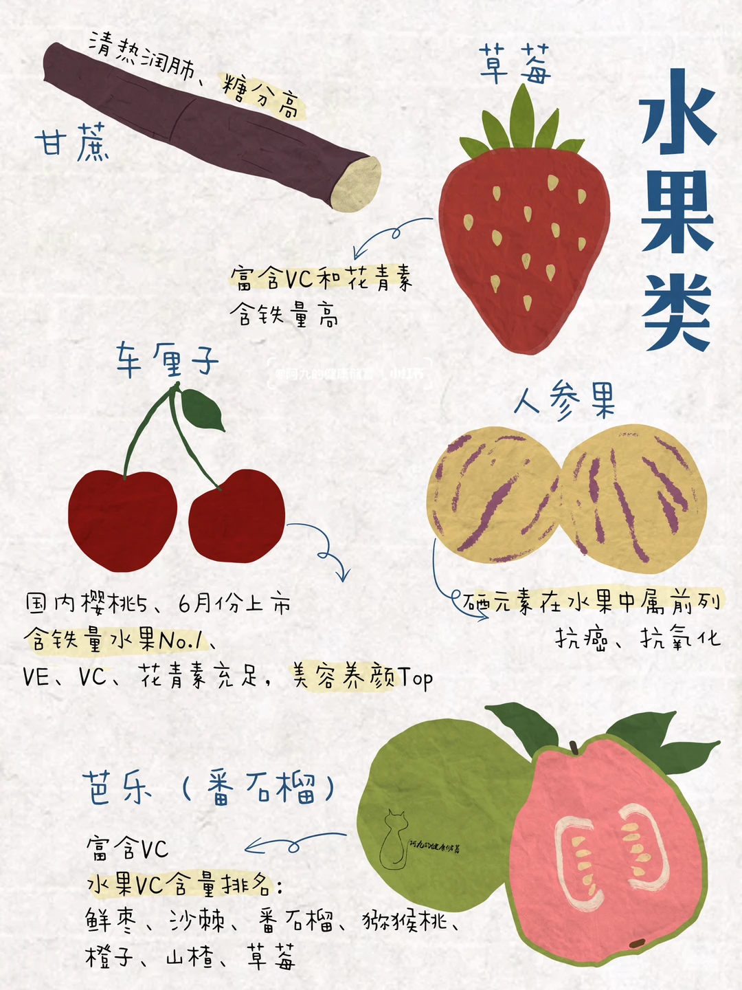 时令蔬果🥬｜应季养生（冬季篇）