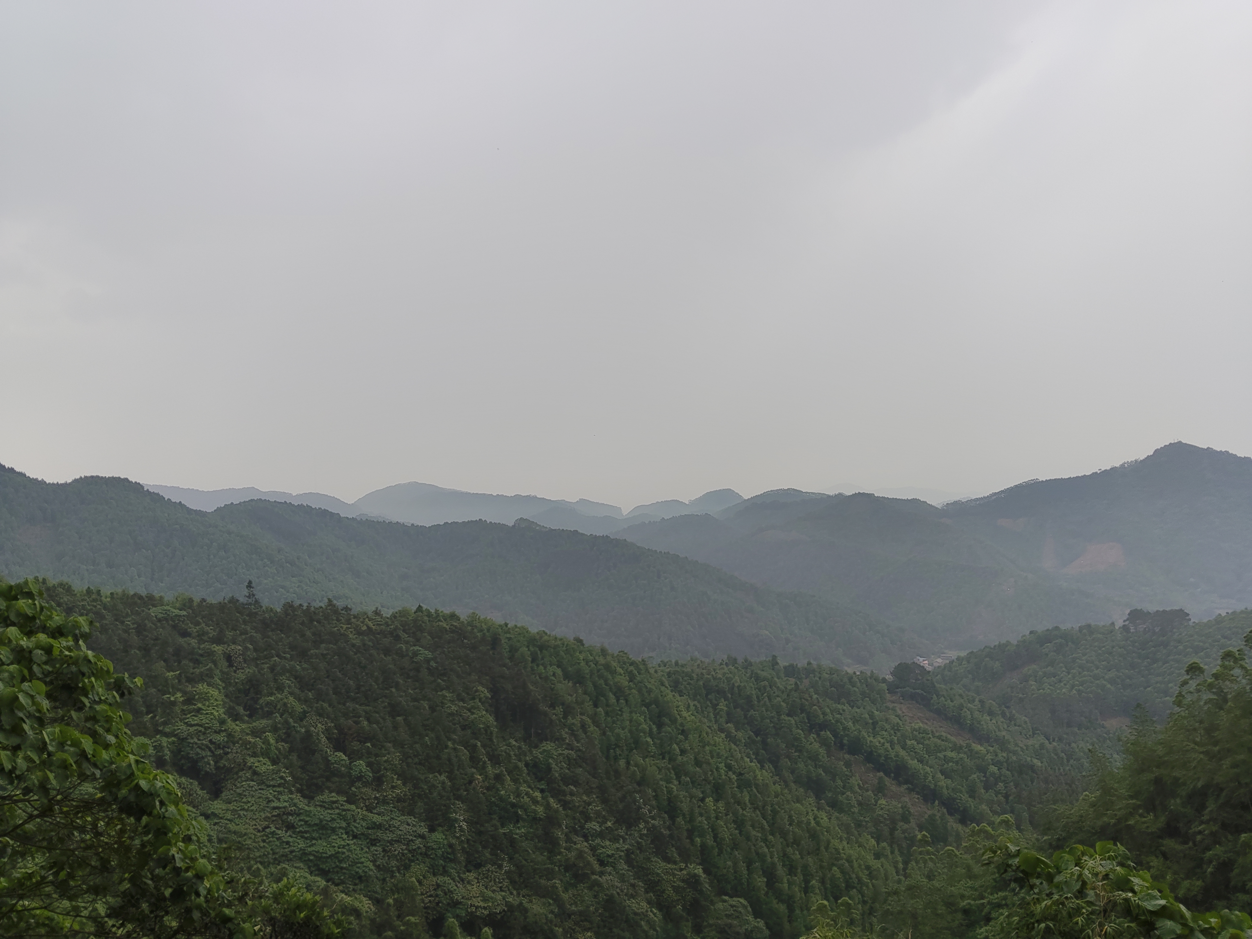 湖人能不能横扫火箭，这还真不好说。目前湖人2 - 0领先，手握赛点，筹...