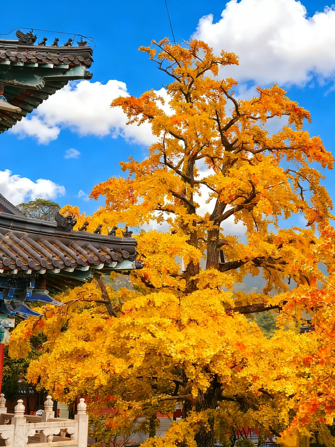 💥12月连云港A级景区免费开放一个月