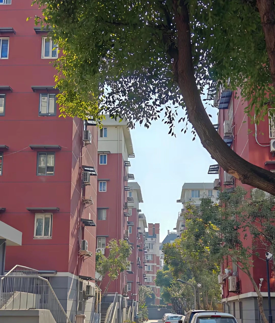 花3万给老破小装电梯居然黄了🤯5楼人麻了！