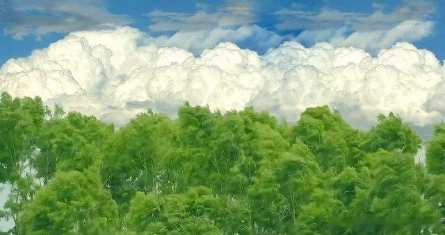 偏神/正神——不在于高低，本质在于发挥的模式不同。比方偏神需要制化，所谓的制化，差不多就是“驯服”的意思，被制化了，就不会像一头出来乱咬人的猛兽，反而正向方面发挥绝妙高超的本领。正神在于顺其自然，顺势而为，没有什么阻力，能够顺畅发挥。但正神的“顺”，不是放任，而是它本身就走在秩序里。它的关键字是：清、护、引、通。清则不杂，护则不伤，引则有向，通则不滞。正神像河道、良马、官道，不需要驯服，只需要不堵、不浊、不冲、不夺。它最怕的是“被扰”：官怕伤官混杂，印怕财星来破，财怕比劫争夺，食神怕枭神来夺；一旦混杂冲克，正神也会失其正，变成迂腐、软弱、死板、伪善、老好人。所以正神得用，是稳、久、正、厚、名正言顺，越积累越有力量；偏神得用，是奇、快、猛、偏、破局而出，一鸣惊人。偏神贵在制化，如驯猛兽；正神贵在清护，如养良马。偏神怕无制，正神怕被浊。偏神制化后，可成绝妙高超之本领；正神清护后，可成深厚绵长之格局。若正神过旺成病，也要泄耗调候，但那是求中和，不是驯服猛兽。正神不在“制”，而在“清护引通...
