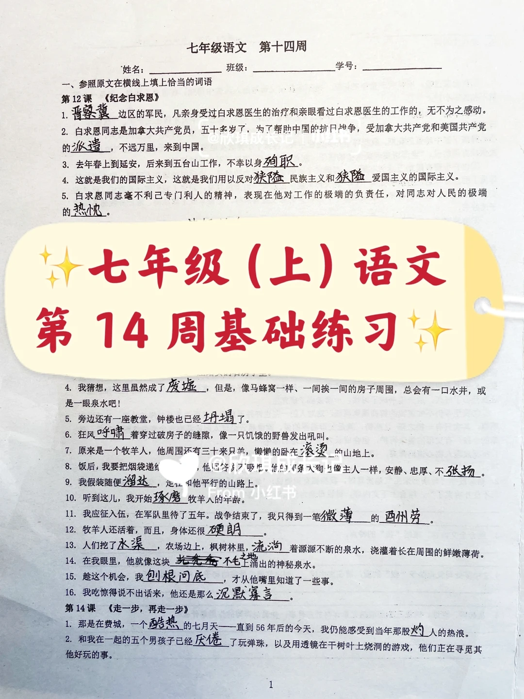 七年级（上）语文第14周基础练习