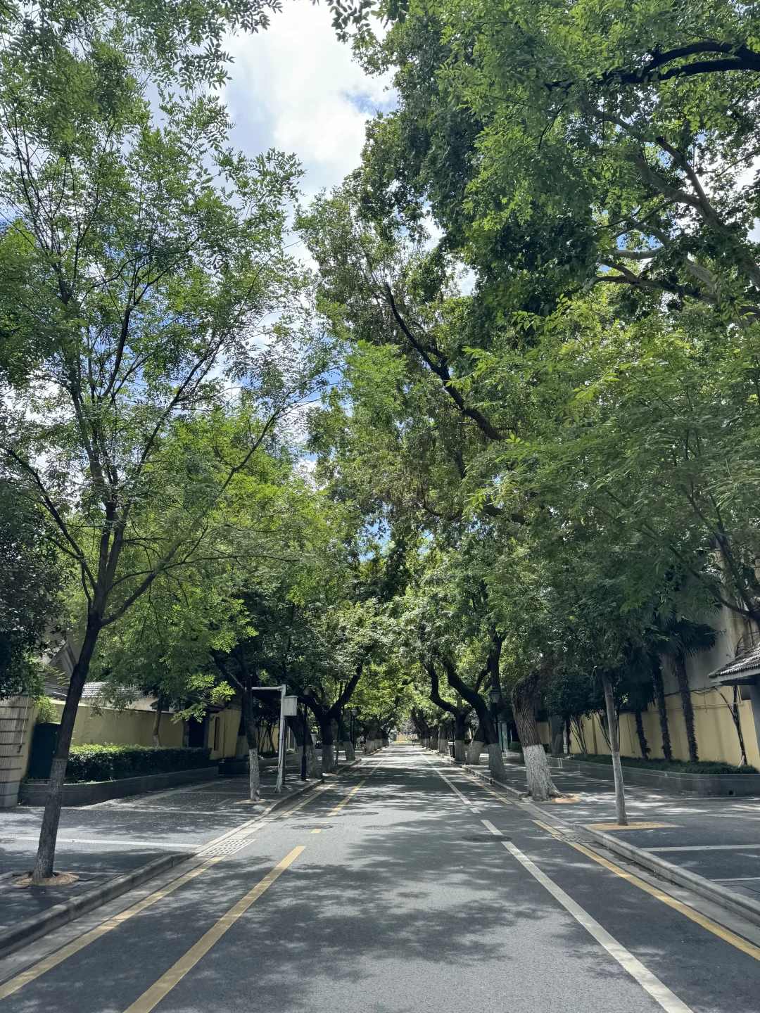在颐和路，还有这种好地方。。。。