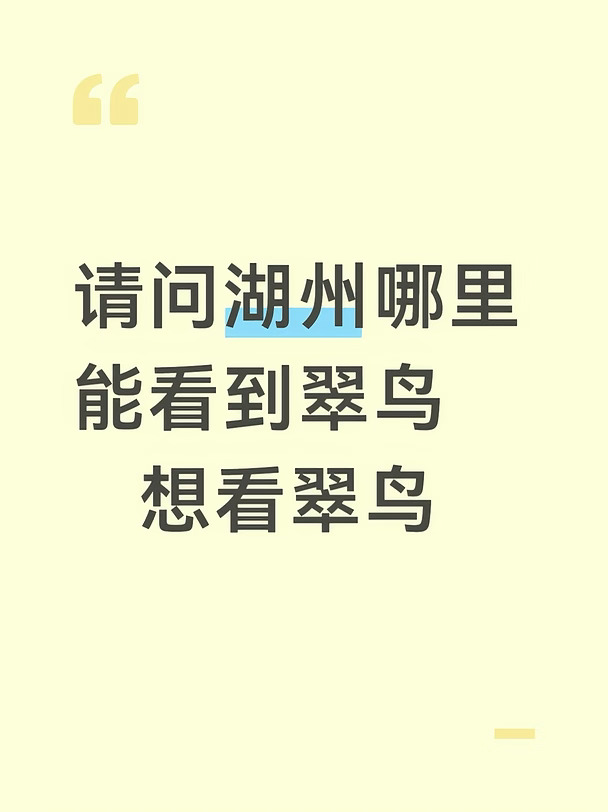 观鸟