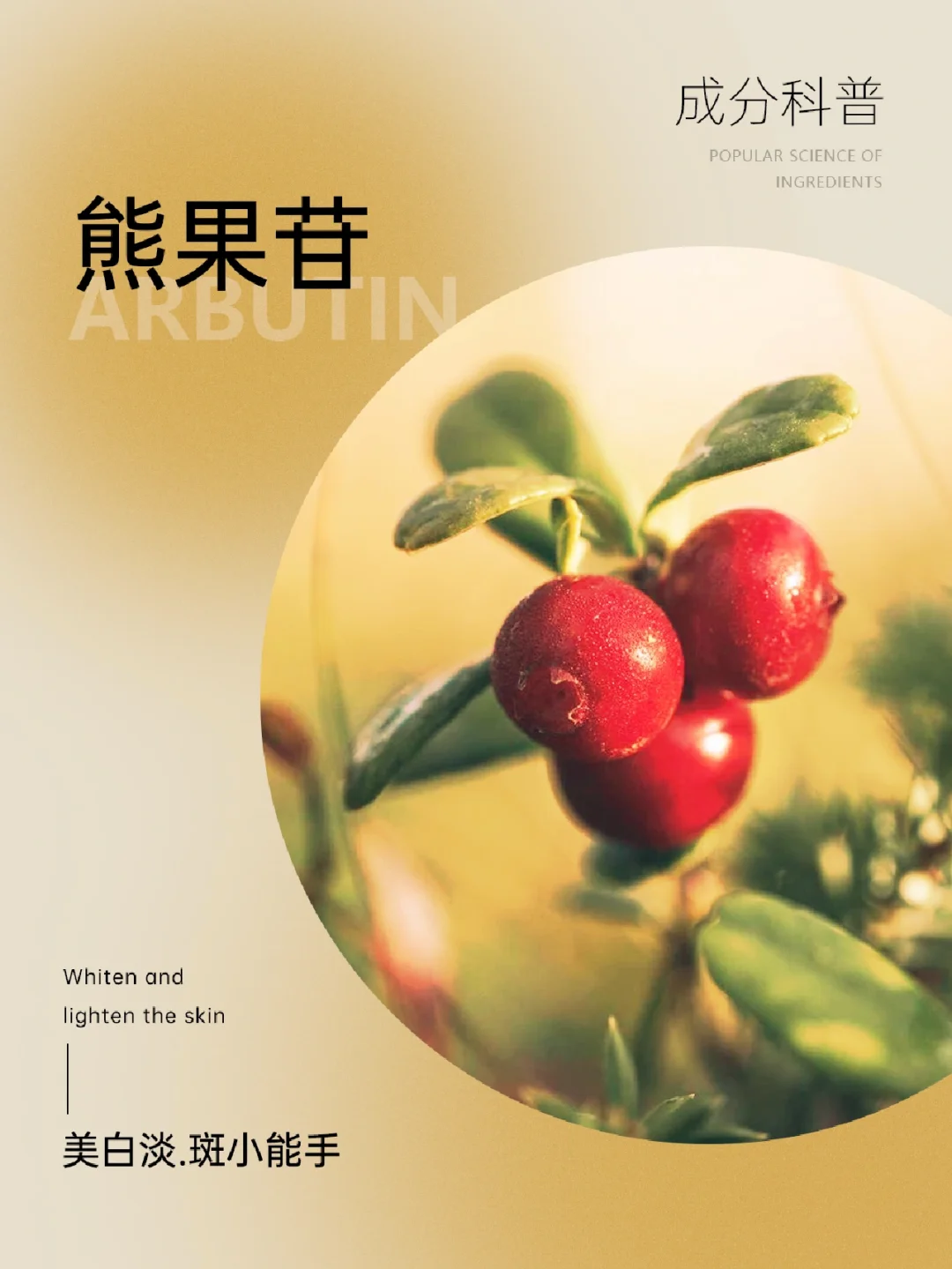成分科普|美白淡.斑小能手——熊果苷