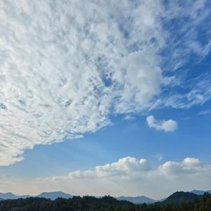 解局者呀