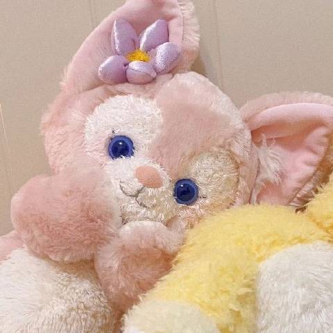 央央是小可爱