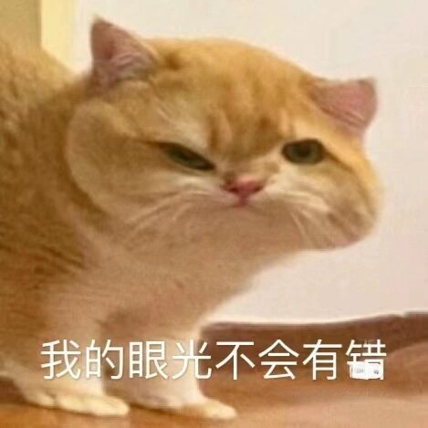 可爱猫咪表情包