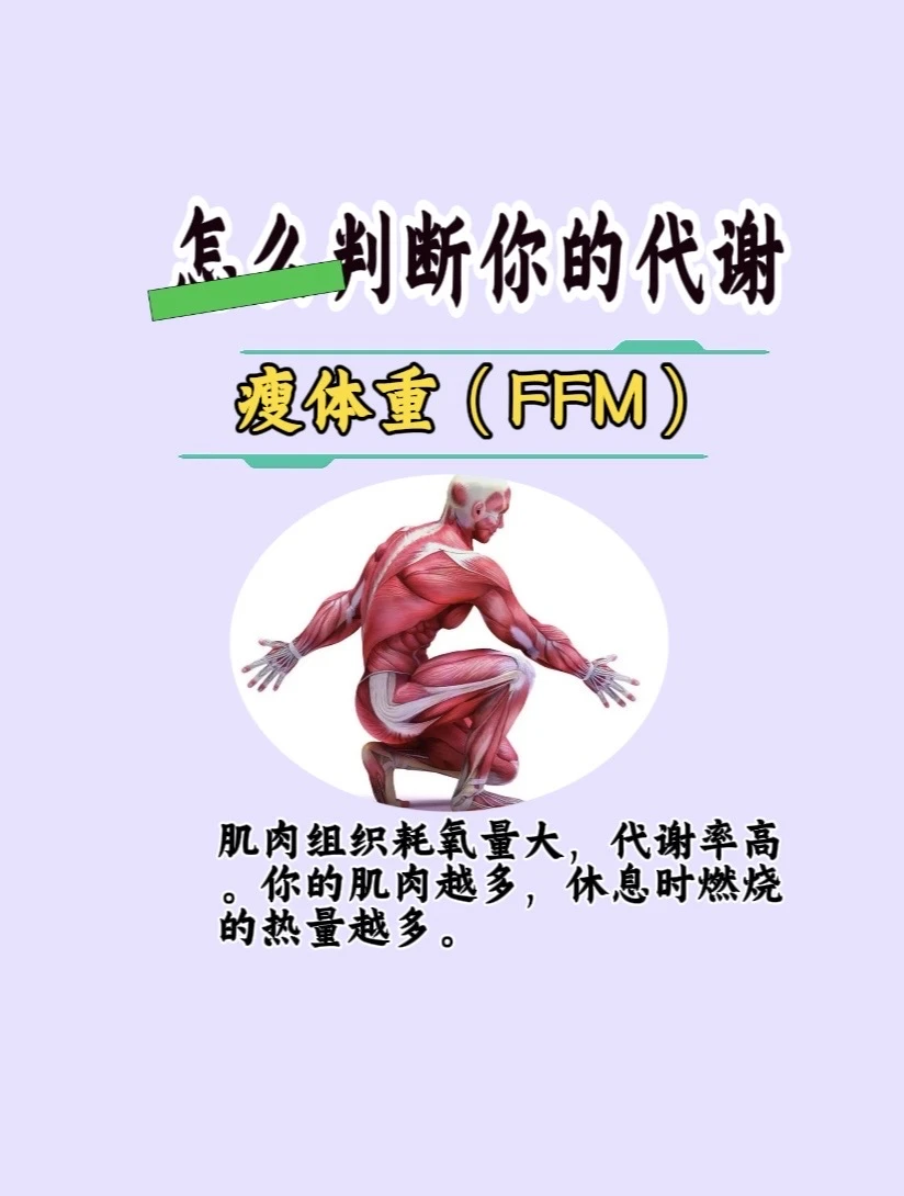 怎么判断你的代谢率（FFM）？