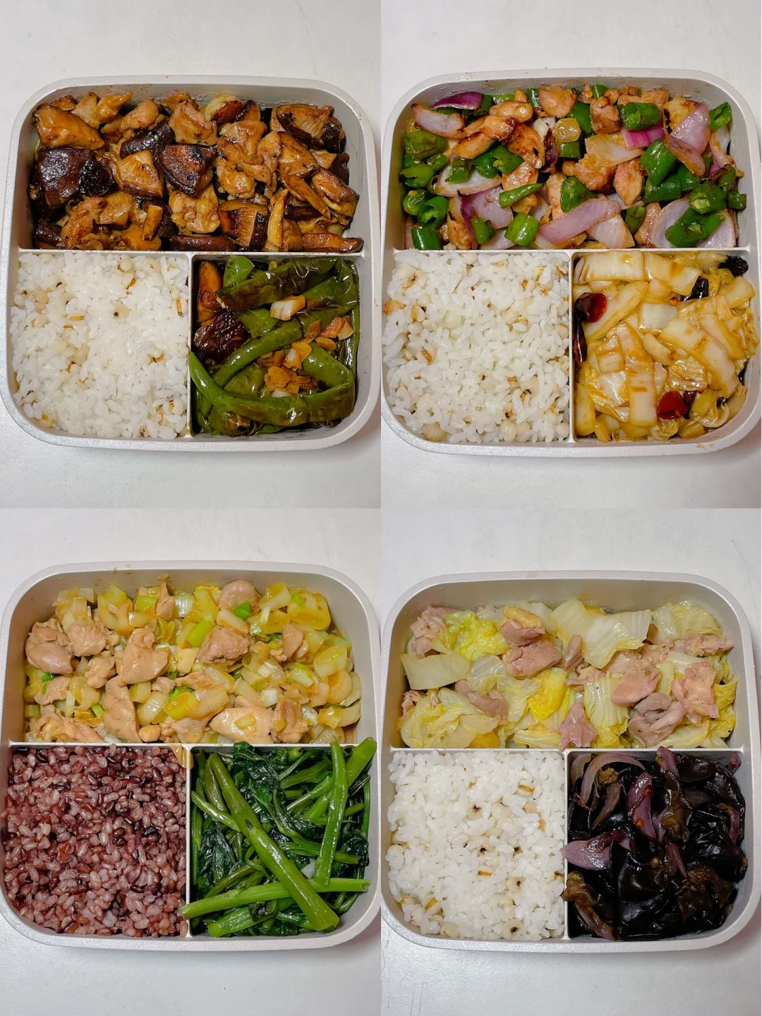 上班带饭不发愁🍱好好吃饭也能瘦