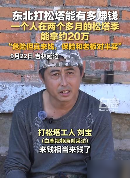 这钱真敢挣！吉林延边，一段打松塔的视频传出来，说的是在东北打松塔这行，两个多月的松塔季，一个人能拿二十万上下，可这钱是吊在二三十米高的树顶上，一杆子一杆子打下来的，跟着还有半句大实话，“危险但真来钱，保险和老板对半买”。可这笔账，最容易让人看岔的，就是把一个球打下来的货值，当成一个人装进口袋的收入。