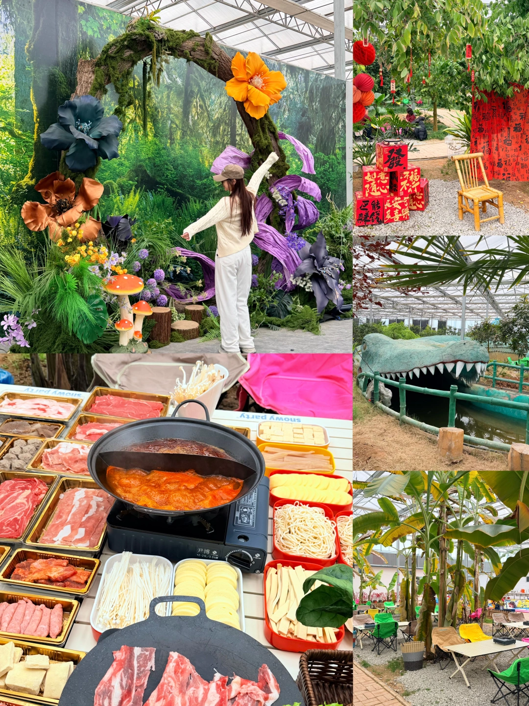 带雨林里吃火锅 享受躺平的快乐