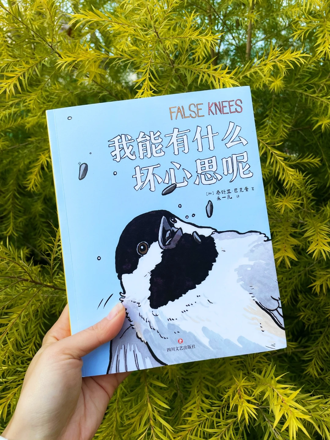 赠书📚哈哈哈😼笑不活了，可爱又减压🐂！