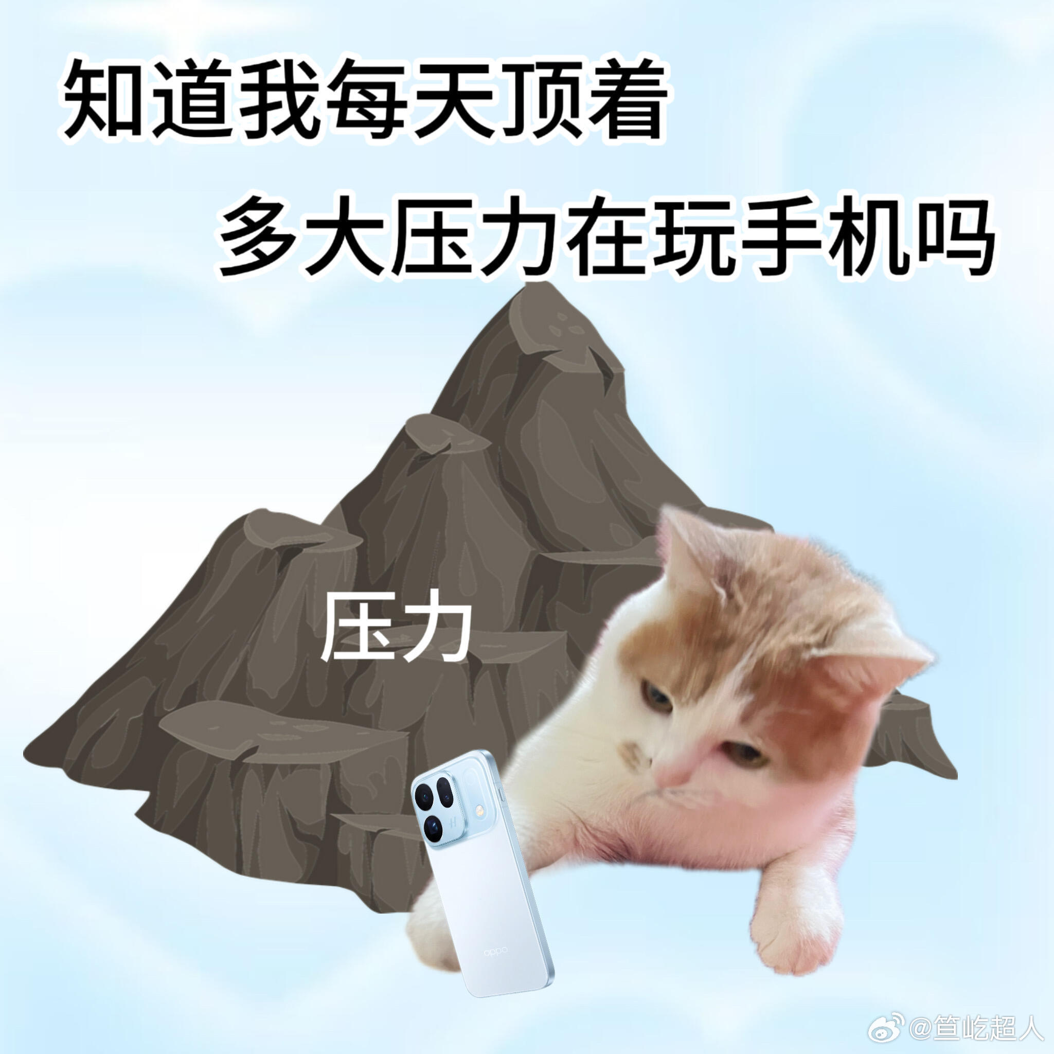 #新旗舰和上代旗舰该怎么选##数码主理人#
今年看下来，各家卖点还是集中在影像、续航、屏幕和AI上，但真让我记住的反而不是参数，是长焦拍出来稳不稳、系统用着顺不顺。芯片今年选择多是好事，不过同一代里也分标准版和满血版，跑分差得热闹，日常刷视频回消息真没多大感觉，玩游戏和拍照处理才见差距 ​